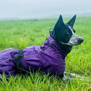 Waterproof Coat For Dogs